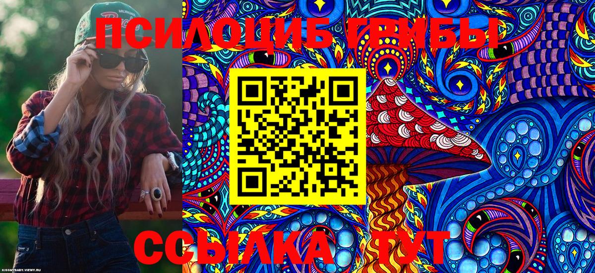 Галлюциногенные грибы Cubensis  Вход с VPN  Курганинск 